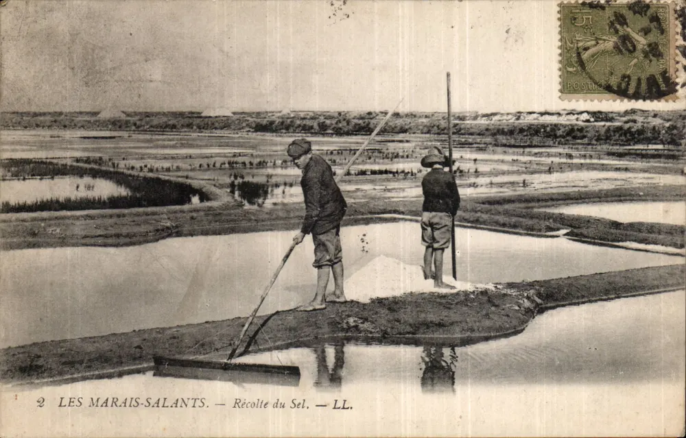 Les Marais-Salants — Récolte du Sel — LL. - Frente