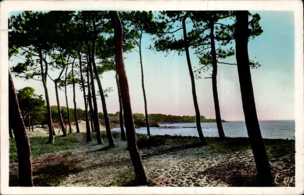 St-Brevin-les-Pins — Vista do Pointeau — editor C.A.P. (30) - Frente