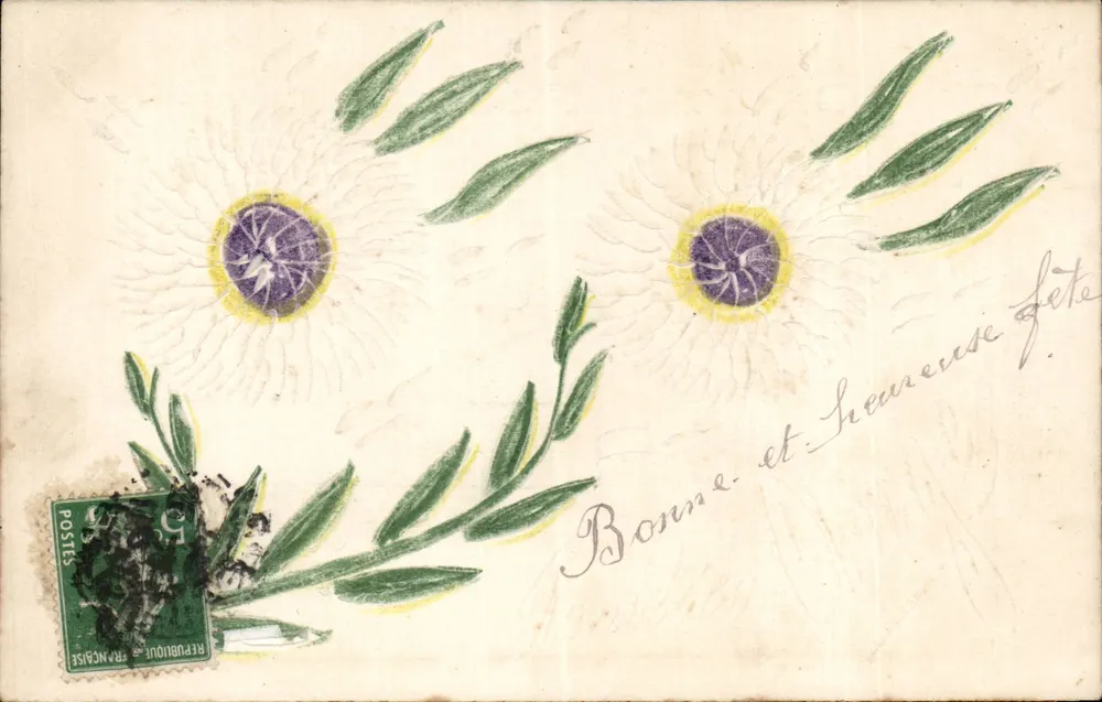 Flores de margarida — Parabéns — Editor não visível - Frente