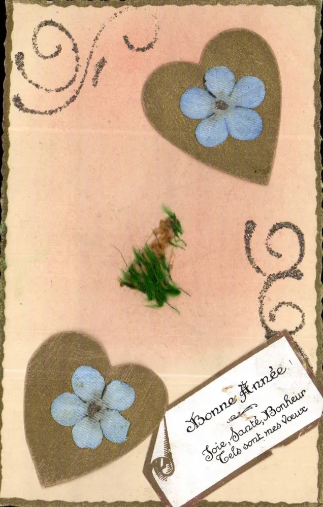 Neujahrs-Karte mit getrockneten Blumen — Verlag unbekannt, Seriennummer nicht sichtbar - Vorderseite