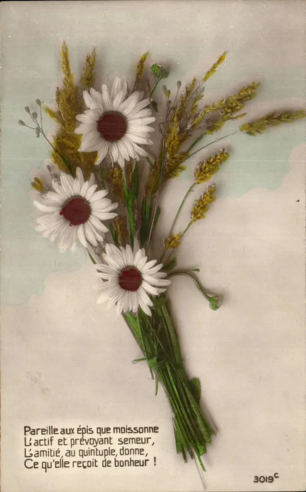 Mazzo di margherite e spighe — poema sull'amicizia — Imagerie Paris n°3019C - Recto