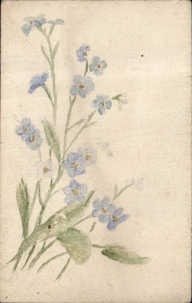 Flores de myosotis — aquarela — Carte postale Bilhete postal antigo - Frente