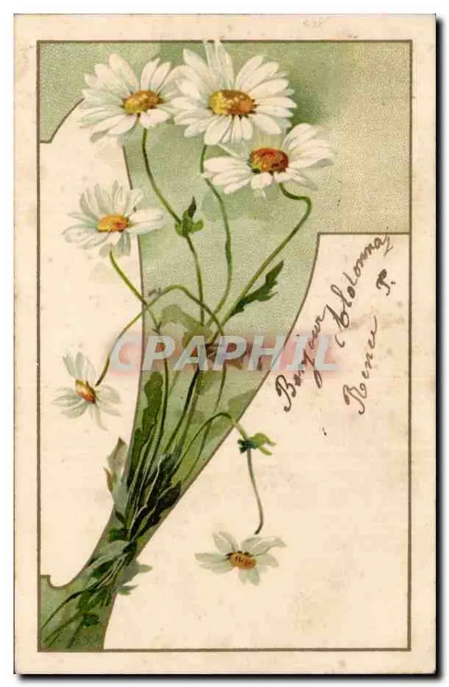 Arranjo de margaridas — editor S. 367 — Viena - Frente
