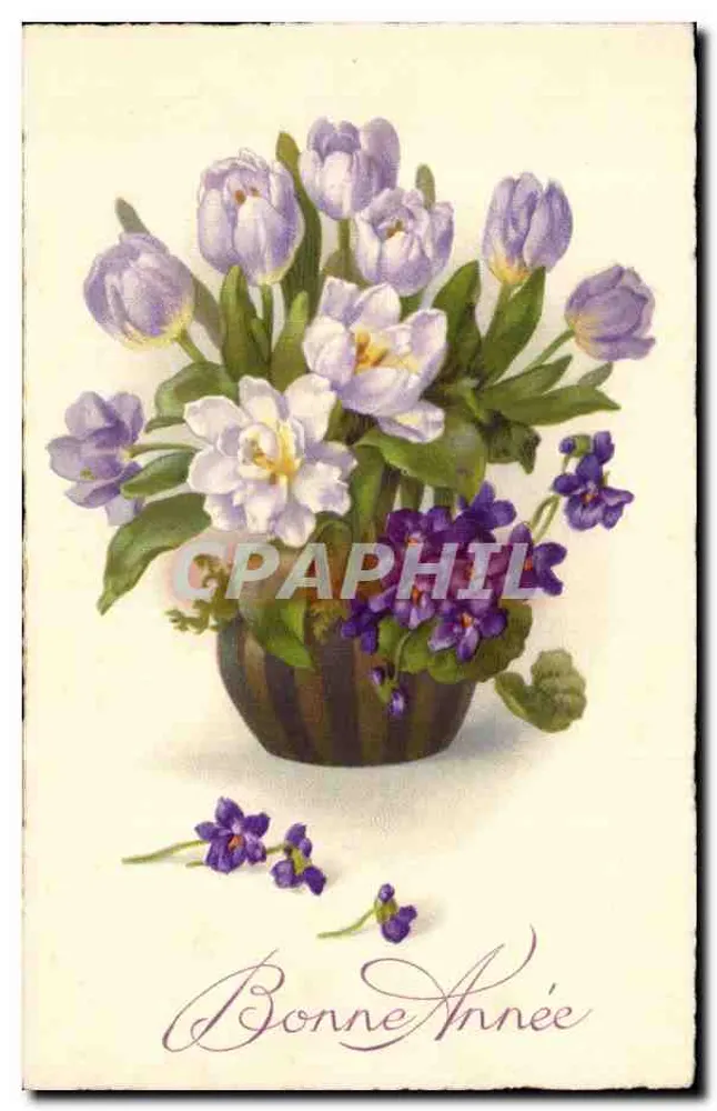 Buquê de tulipas, crocús e violetas — Boa Ano — editor não visível - Frente