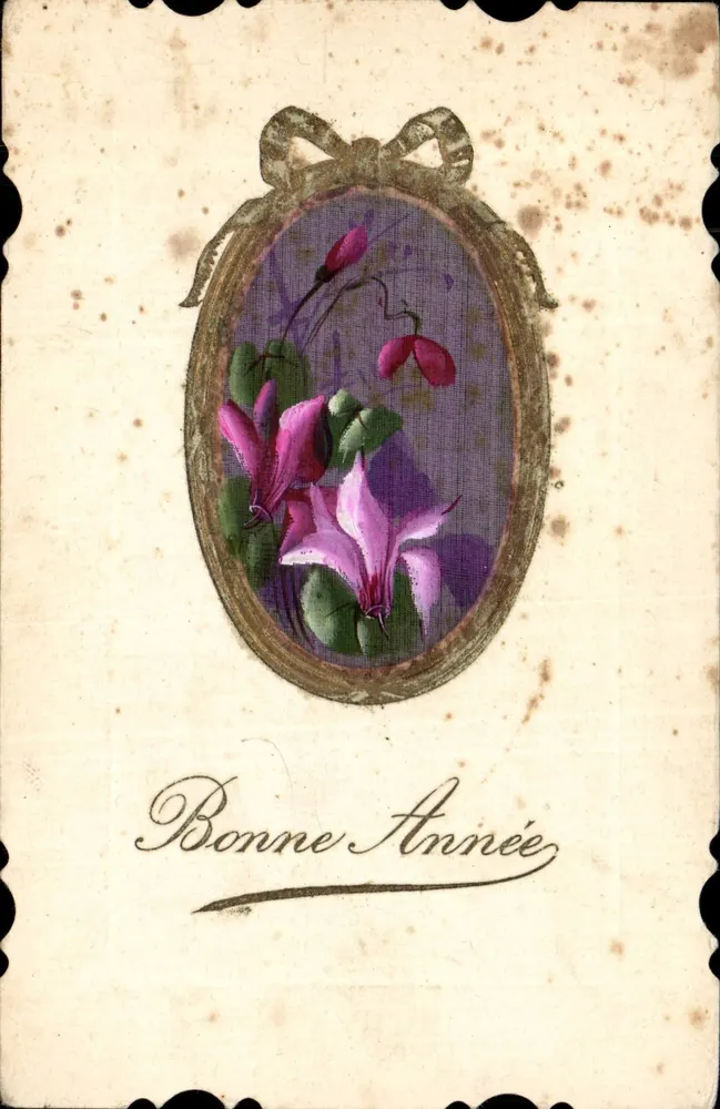 Fleurs de cyclamène — cadre ovale orné d'un ruban — éditeur non identifié - Recto