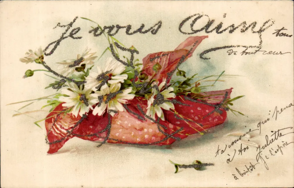 Mata de margaridas — editor S.336 — cerca de 1904 - Frente