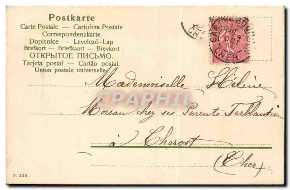 Mata de margaridas — editor S.336 — cerca de 1904 - Verso