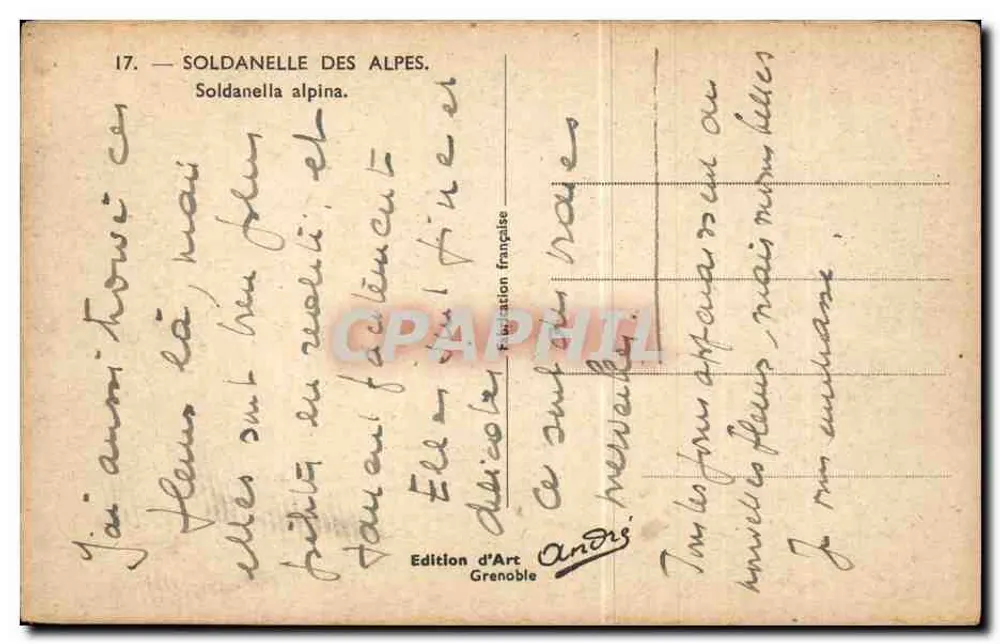 Soldanelle das Alpes — S. alpina — Édition d'Art Grenoble, n°17 - Verso