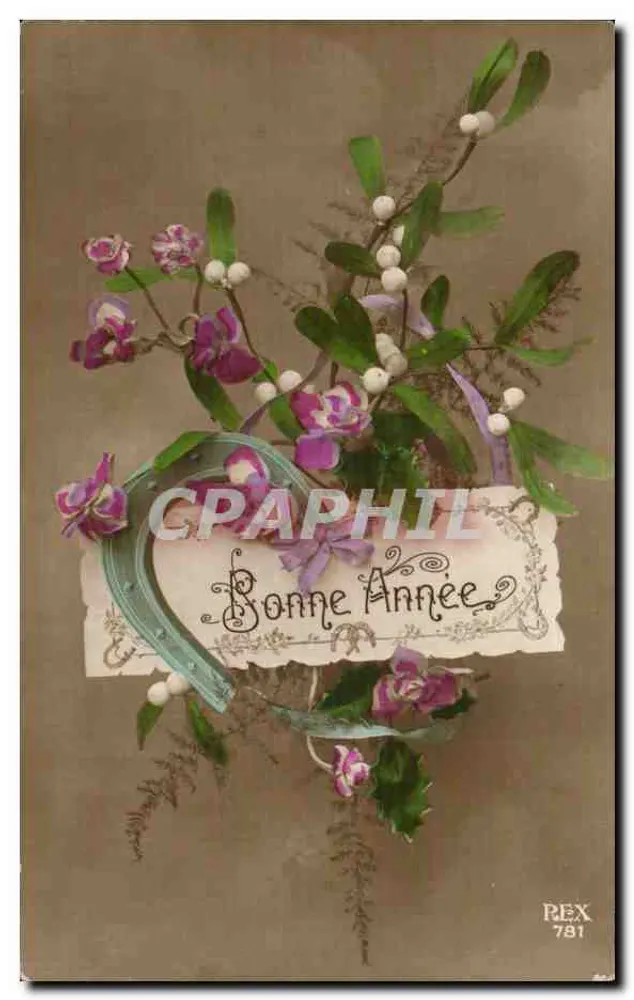 Frohes Neues Jahr — Blumen und Beeren — REX 781 - Vorderseite