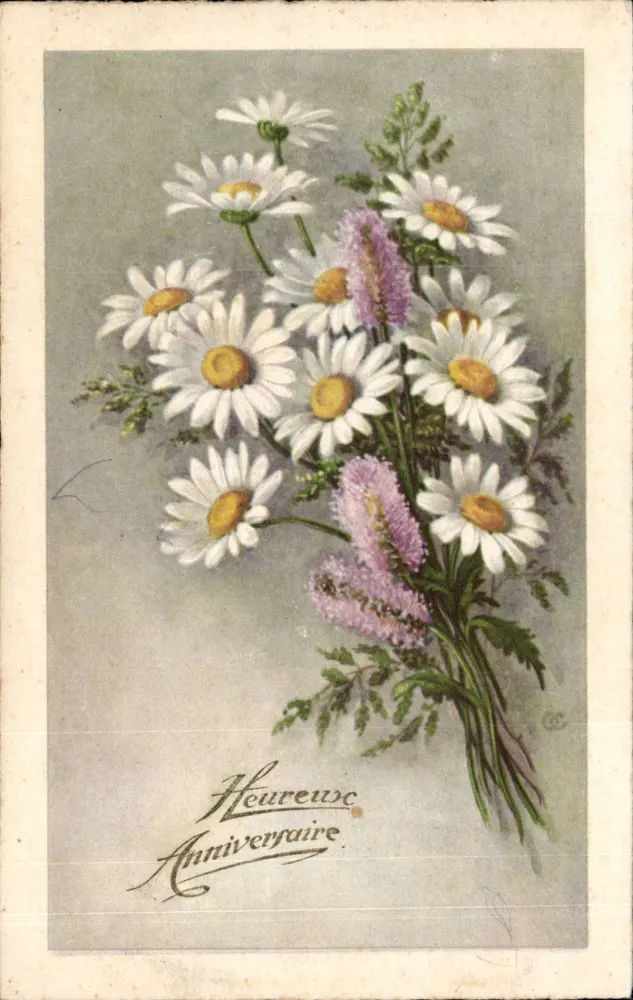 Mata de margaridas e flores violetas — Aniversário — editor não identificado, n° de série não visível - Frente