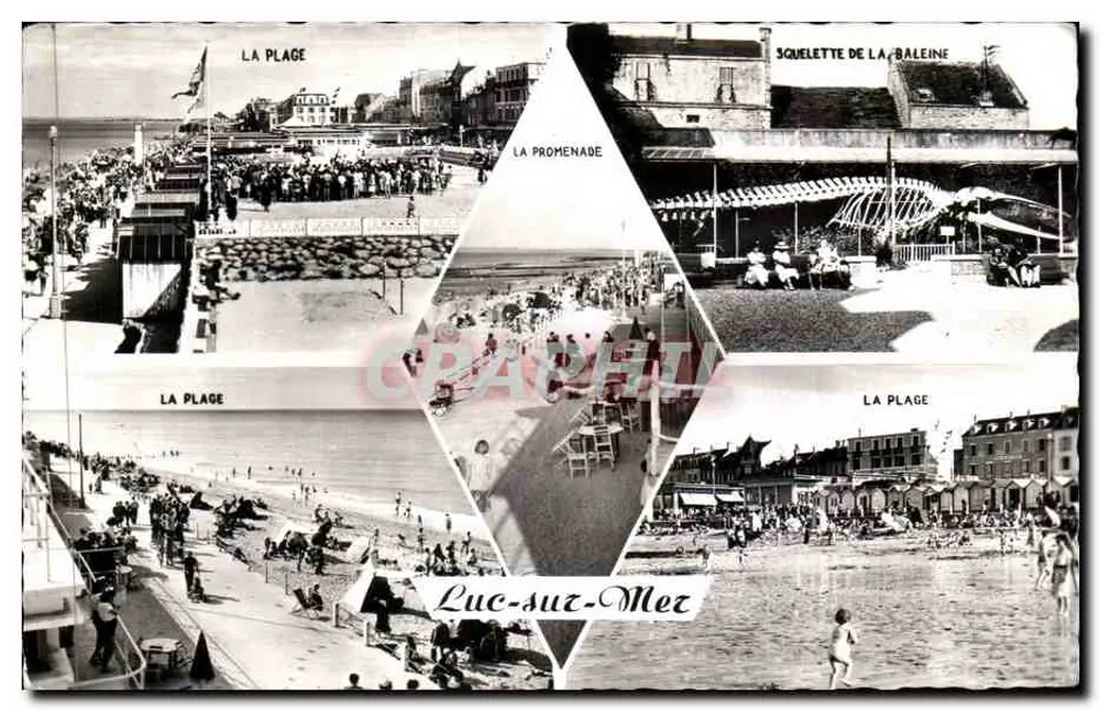 Luc-sur-Mer — Vista da praia, passeio e esqueleto de baleia — CREAL-PHOTO - Frente