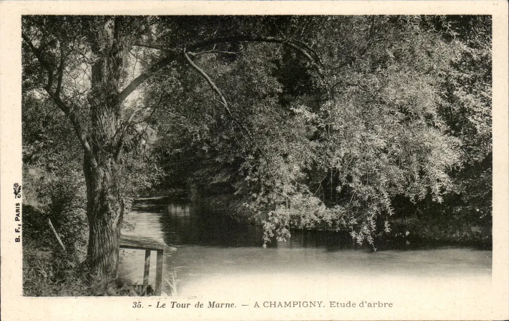 Der Marne-Rundgang — A Champigny. Baumstudie — B.F. PARIS - Vorderseite