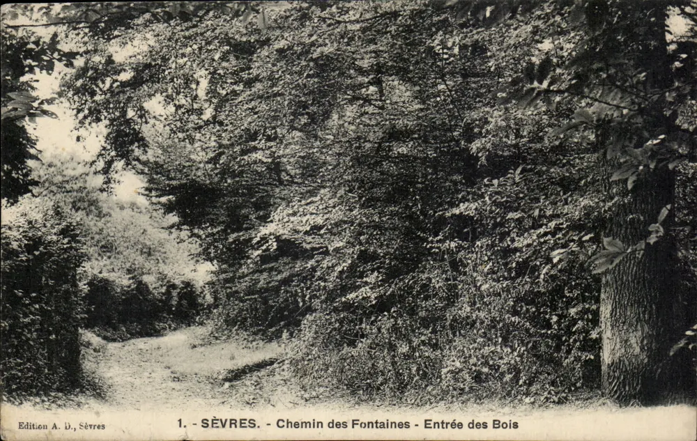 Sèvres - Chemin des Fontaines - Eingang in den Wald — Édition A. D., Sèvres, n°1 - Vorderseite
