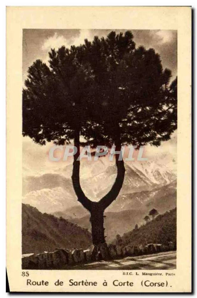 Route von Sartène nach Corte (Korsika) — isolierter Baum auf der Straße mit Bergen im Hintergrund — S.I.C. L. Mauguière, Paris, n°85 - Vorderseite