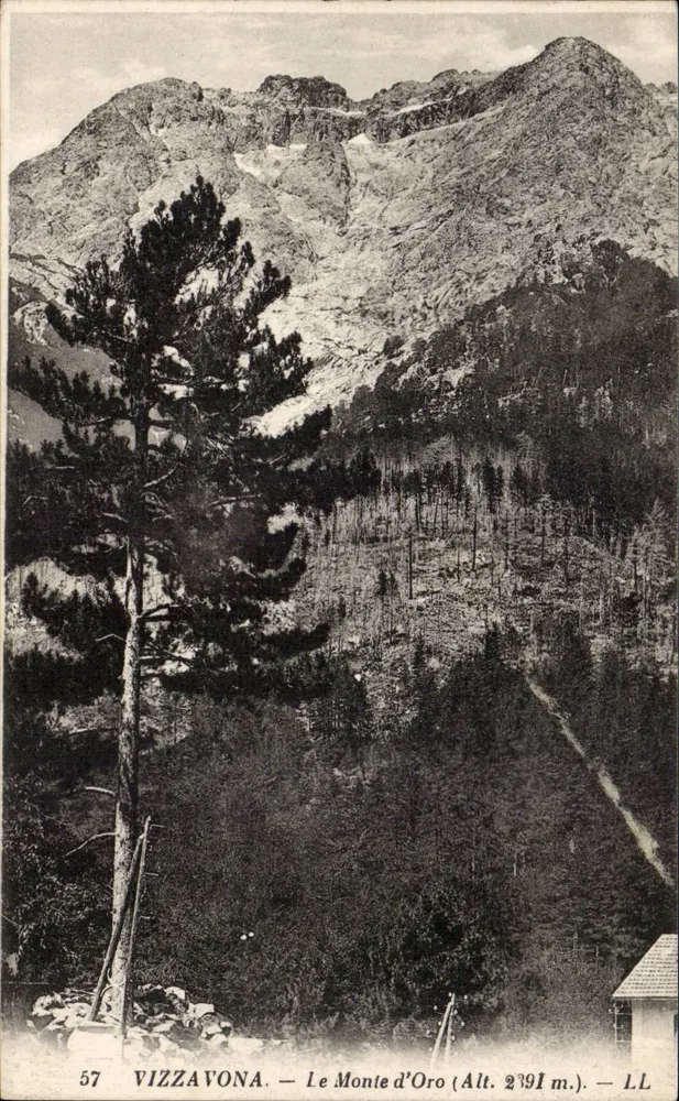 Vizzavona — Monte d'Oro (Höhe 2391 m.) — LL - Vorderseite