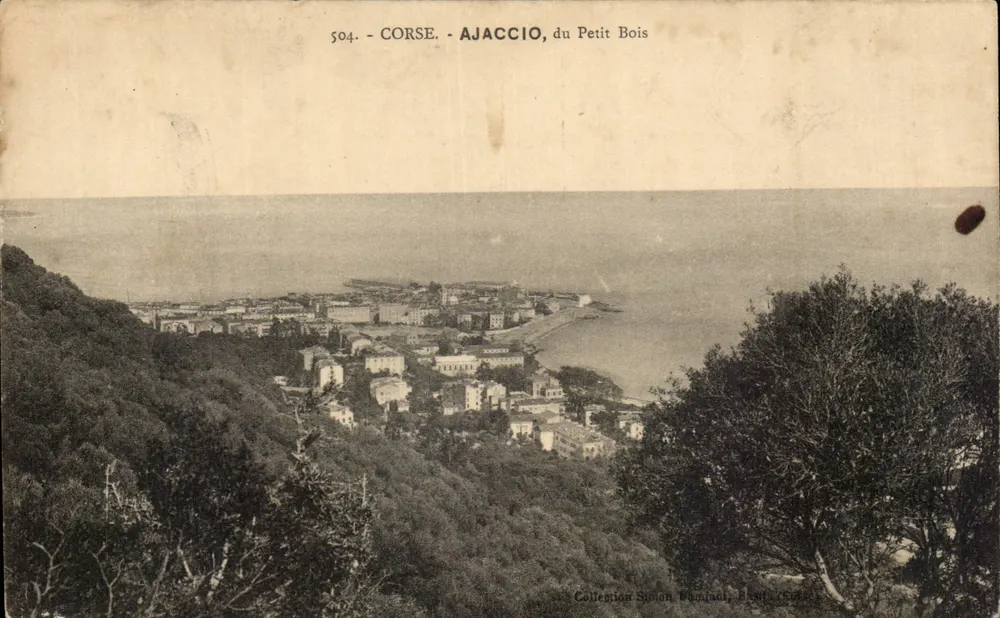 Ajaccio, du Petit Bois — Panoramablick — Sammlung Simon Damiani, Bastia (Korsika), n°504 - Vorderseite