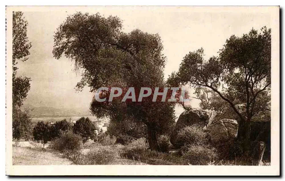 Napoleonschlucht — Le Casone — Ajaccio — Verlag: Union Commerciale Corse - Vorderseite