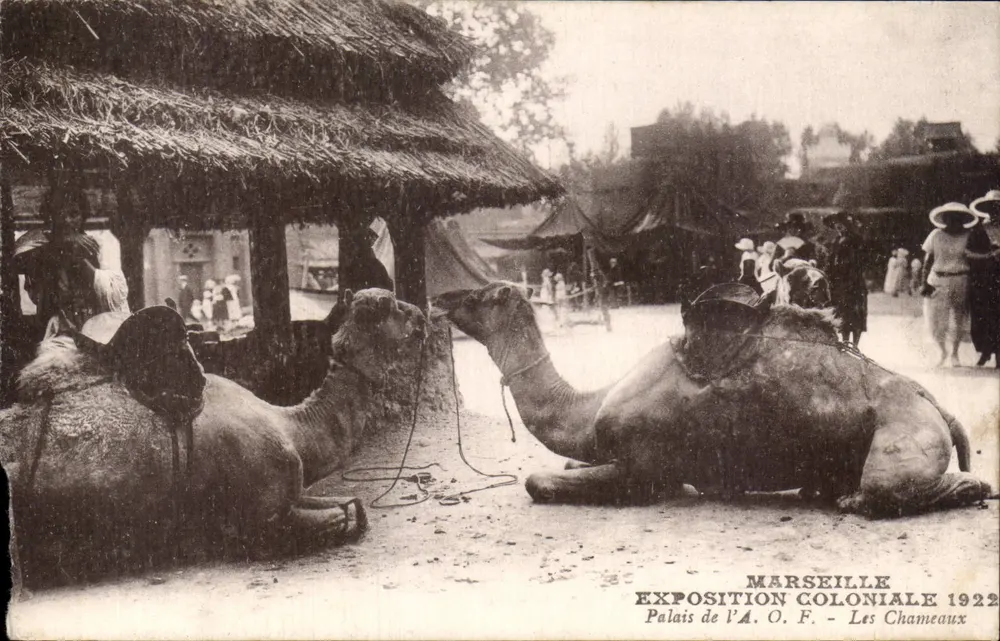 Marselha — Exposição Colonial 1922 — Palácio da A.O.F. — Os Camélidos - Frente