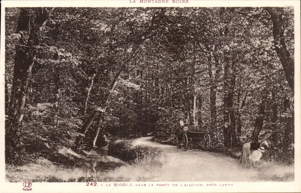 Die Rigole im Wald von Laiquipy, nahe Lampy — Die Schwarze Berg — Phototypie Laboude Toulouse n°242 - Vorderseite