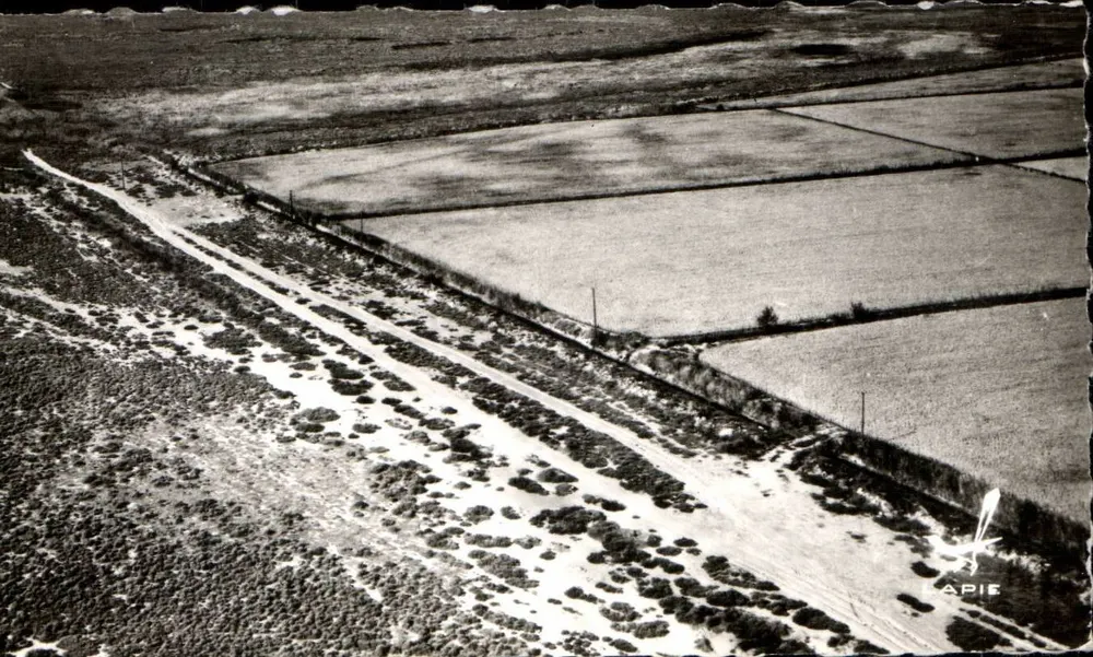 Reisbau in der Camargue — Le Sambuc : Bouches-du-Rhône — Verlag APiE - Vorderseite