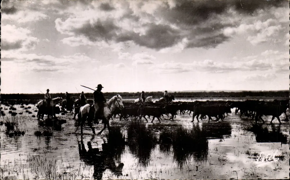 La Camargue — "Engasado" (traversée) eines Moores — Éditions de Lavelle & Cie - Vorderseite