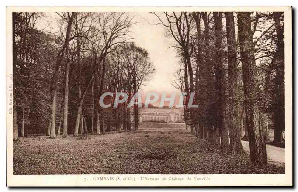 Gambais (S. et O.) - L'Avenue du Château de Neuville — Éditeur: Brotton & Gualdo - Recto