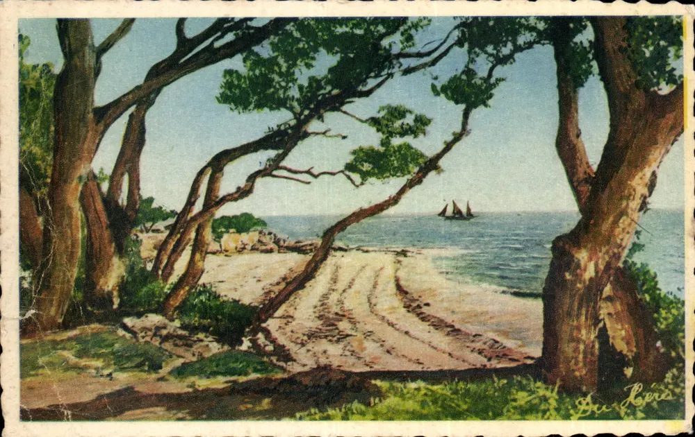 Bois de la Chaize — Ile de Noirmoutier — Ed. Dethanieux - Voorkant
