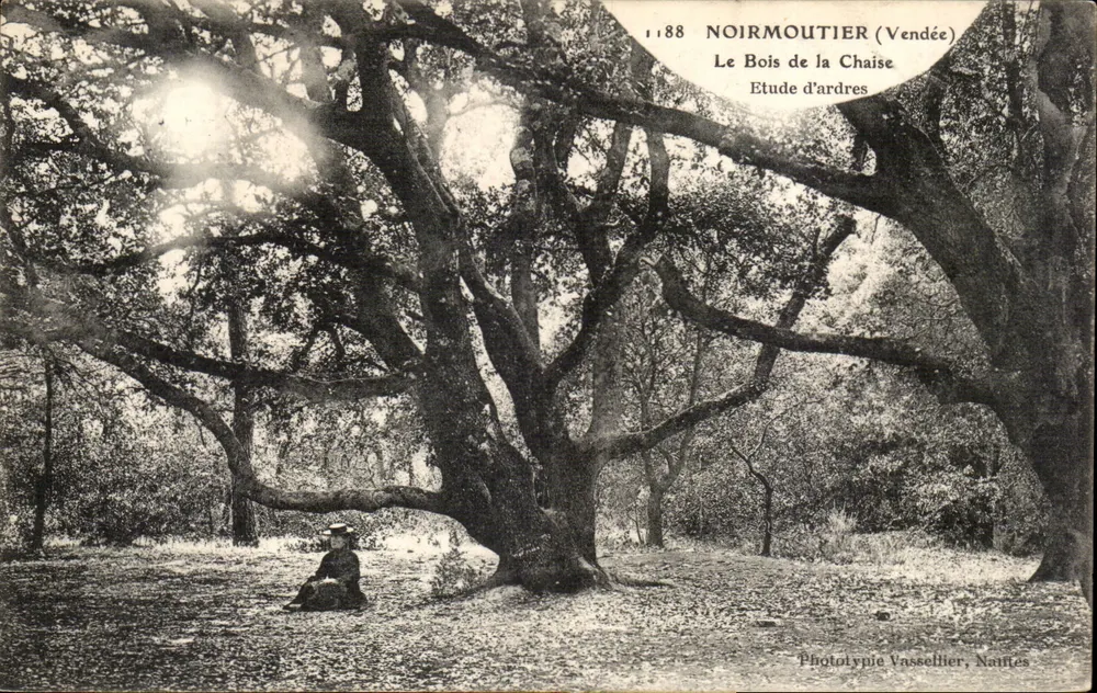 Noirmoutier (Vendée) — Le Bois de la Chaise — Phototypie Vassellier, Nafties - Vorderseite