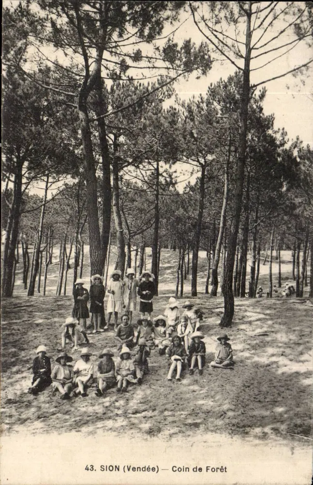 Sion (Vendée) — Canto da Floresta — Impressora Jolly-Tempin - Montagné - Frente