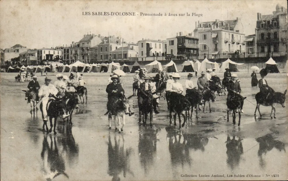 Les Sables-d'Olonne - Promenade à ânes sur la Plage — Collection Lucien Amiaud, N° 2231 - Vorderseite