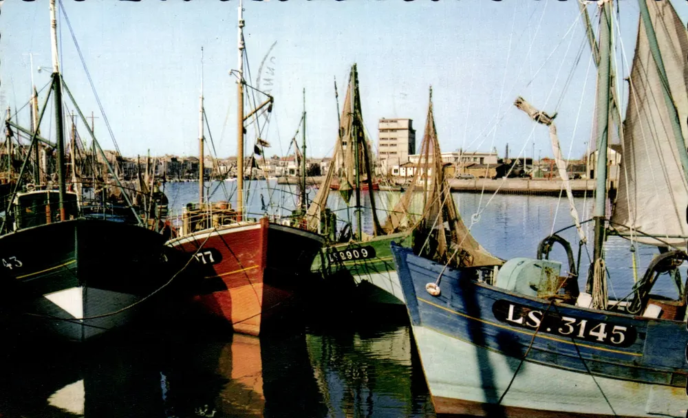 Porto de pesca em Les Sables-d'Olonne — Editor P. Marlin, n° 814 - Frente
