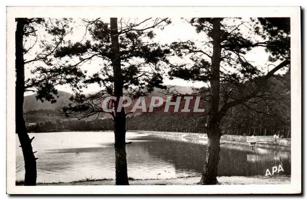 Lac de St-Pérule (Hte-Garonne) — gesehen durch die Kiefern — Gesellschaft der Ansichtskartenverleger APA Pont, Albi - Vorderseite