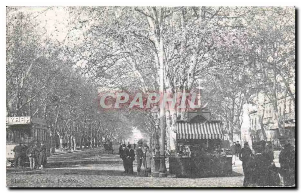 Nîmes — A avenida Feuchères — Gilbert Levassor, editor - Frente