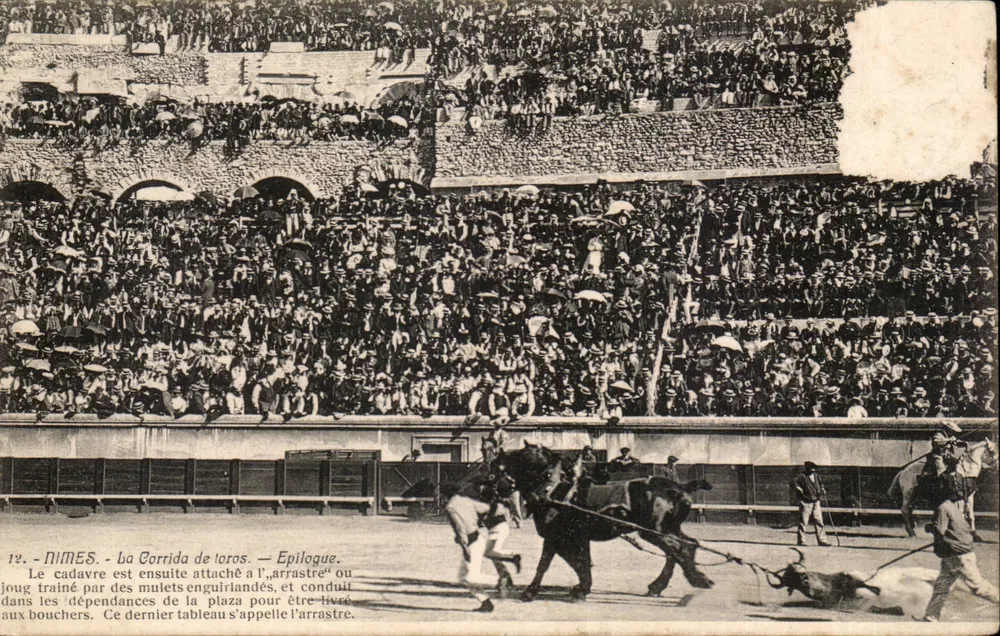 Nîmes - A Corrida de touros — Epílogo — Charles Barnheim, Foto. Nîmes. - Frente