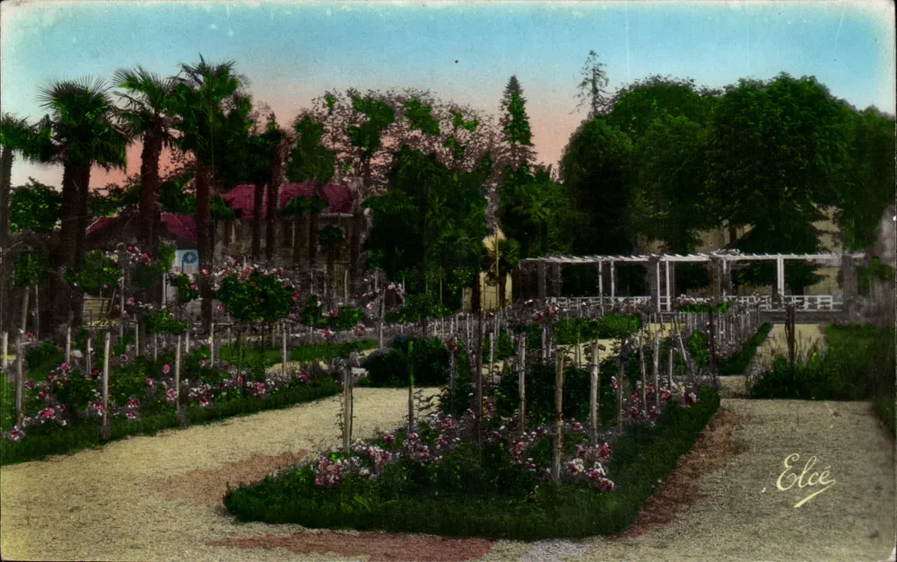 Garten in Elce — Rosen und Palmen — Elce - Vorderseite