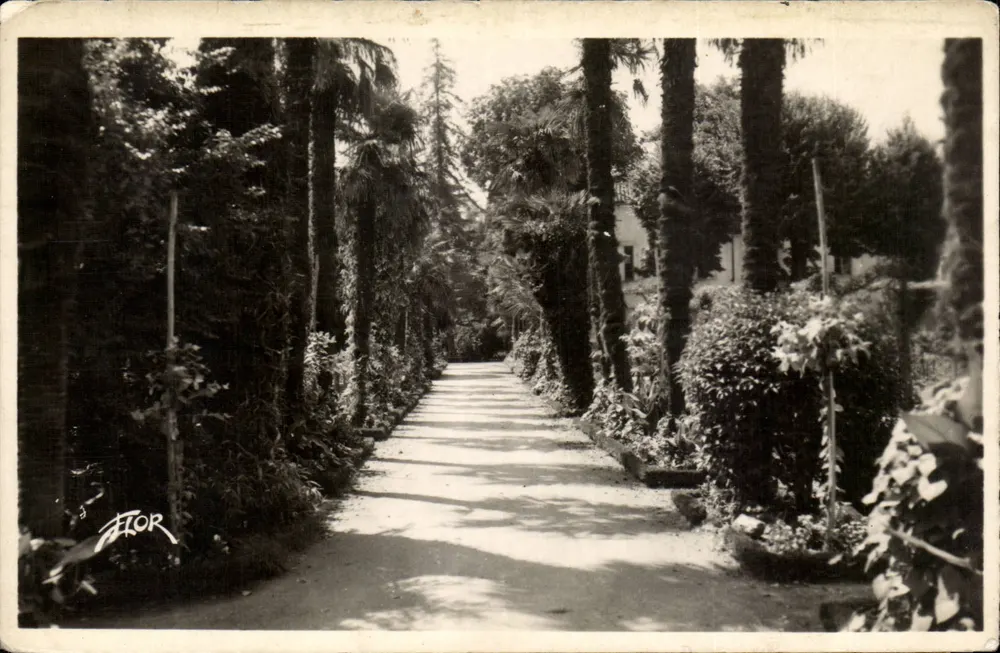 Palmengang im öffentlichen Garten — Bergerac — Édition Marcelau Carrière, n°2147 - Vorderseite
