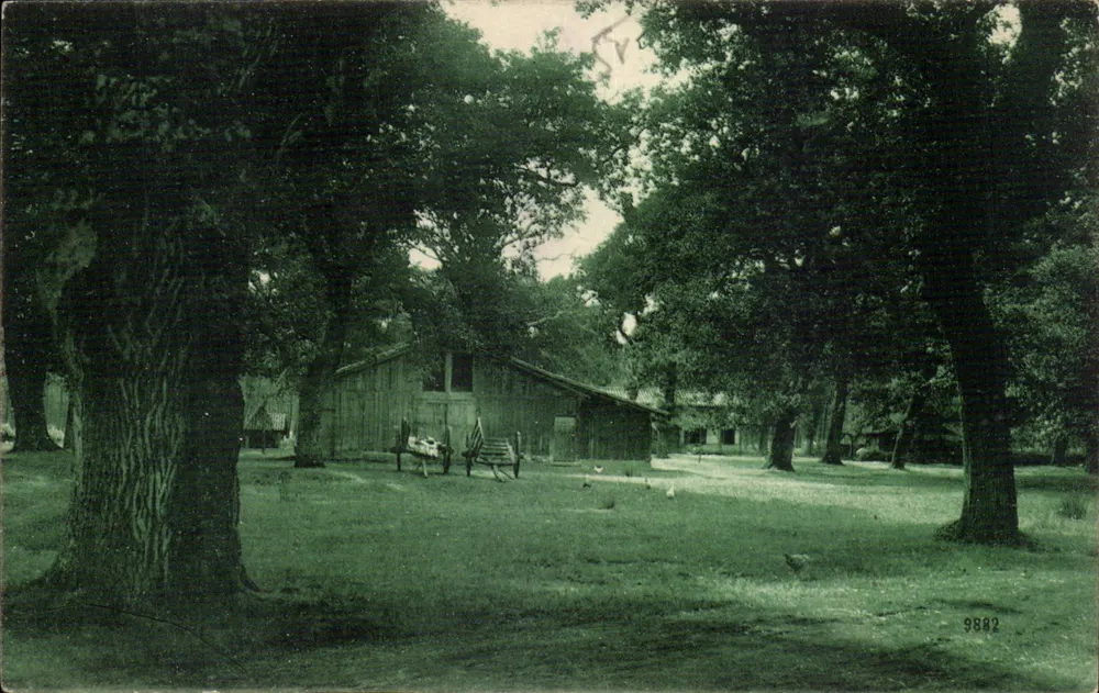 Paisagem Landaise — Editor artístico R. Bergovin, n° 9882 - Frente