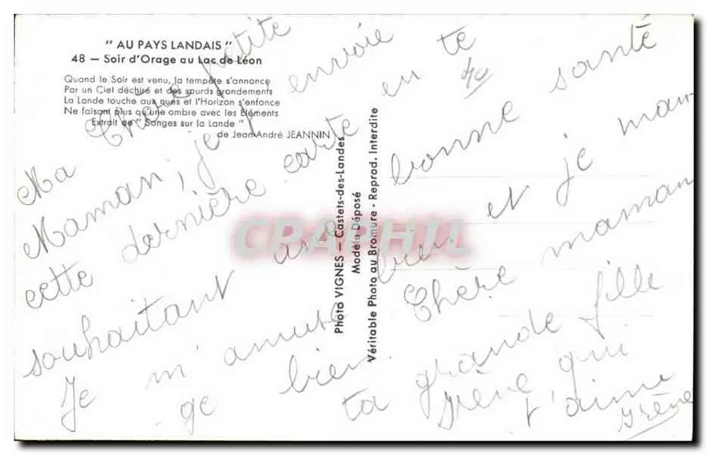 See von Léon — Sturmnacht — VIGNES - Rückseite