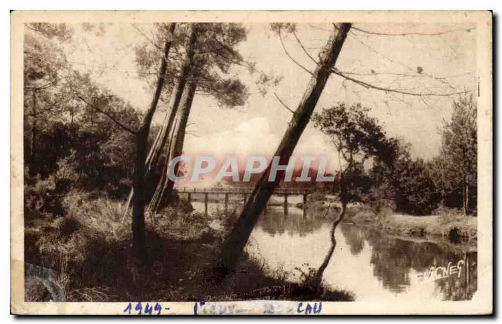 Vieux-Boucau-les-Bains — Der Strom im Wald — Editions E. Vignes - Vorderseite