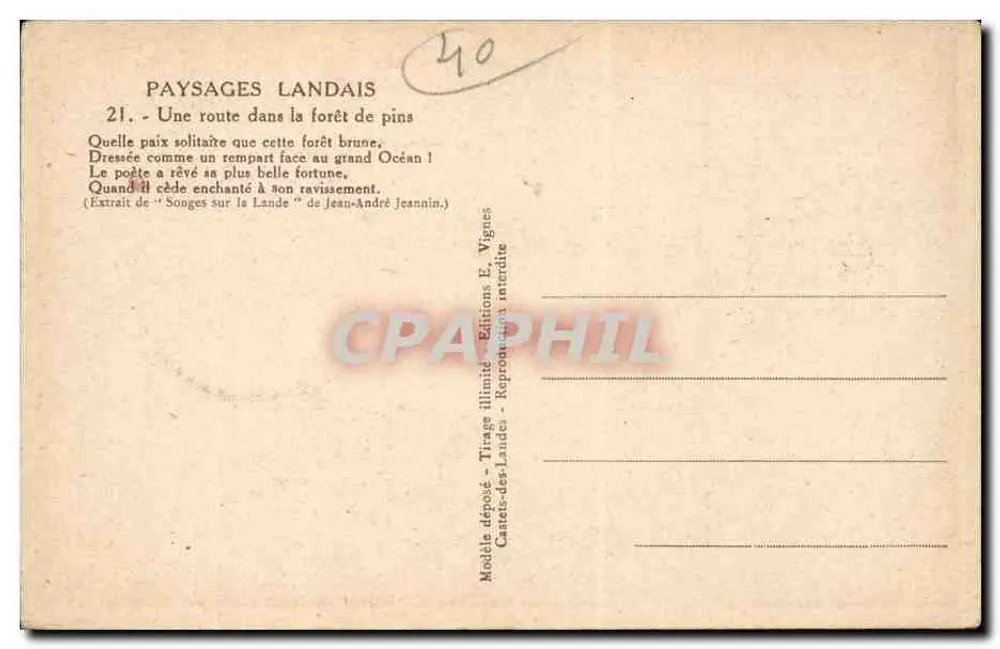 Straße durch die Kiefernwälder — Landschaften der Landes — Editions E. Vignes - Rückseite