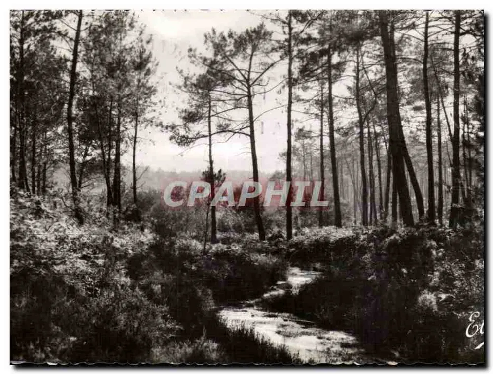 O Ruisseau na Floresta — Arcachon — L. Chataigneau 92 - Frente