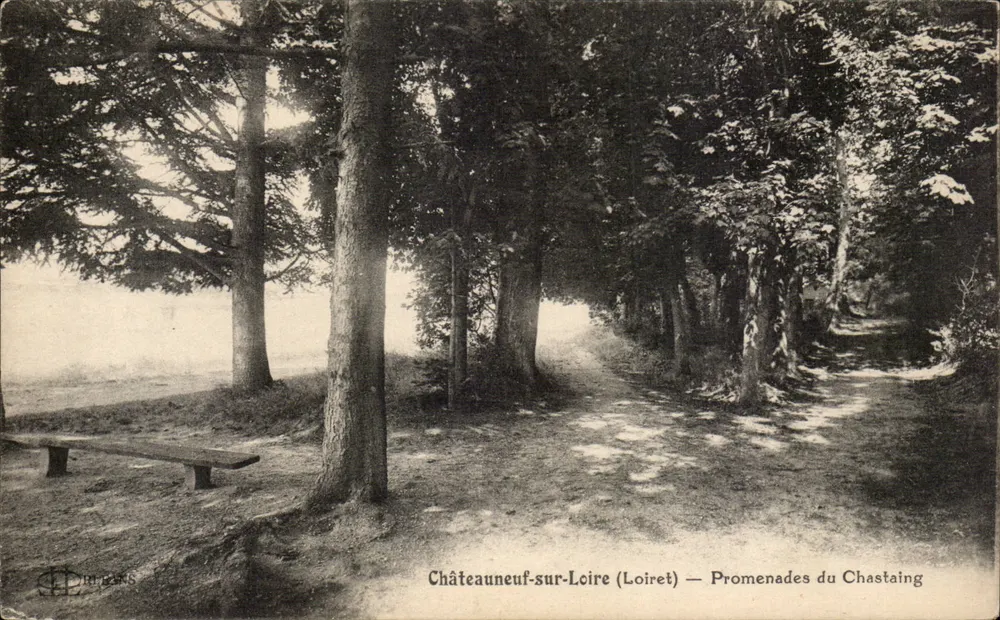 Châteauneuf-sur-Loire (Loiret) — Promenades du Chastaing — L. Lenormand, Orléans - Vorderseite