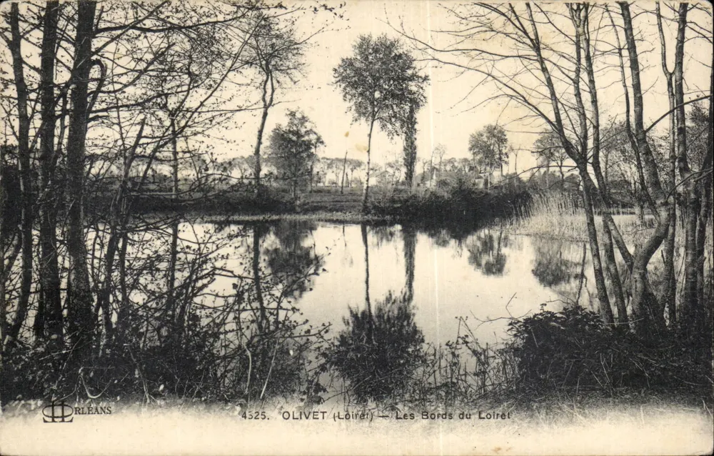 OLIVET (Loir-et-Cher) — Widok brzegów Loirét — wydane przez ORLÉANS - Awers