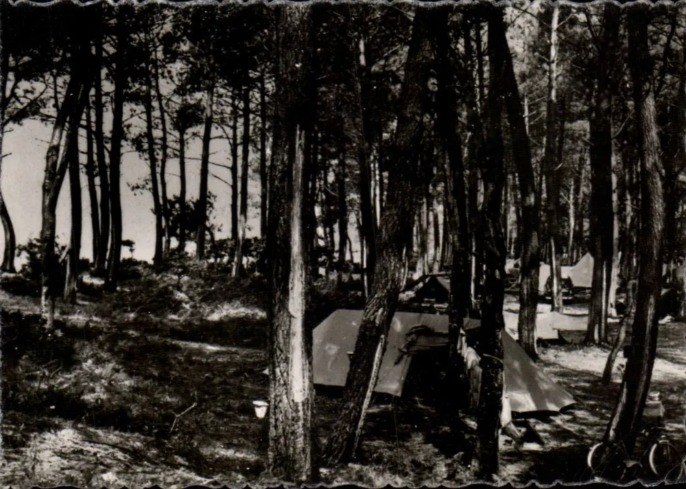 Andernos-les-Bains — Der Maurét. Unterholz und Camping — n°10 - Vorderseite