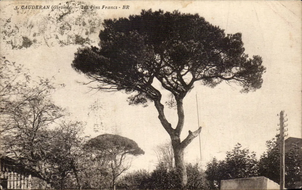 Gauderan (Gironde) — Os Pinhos Francos - BR - Frente