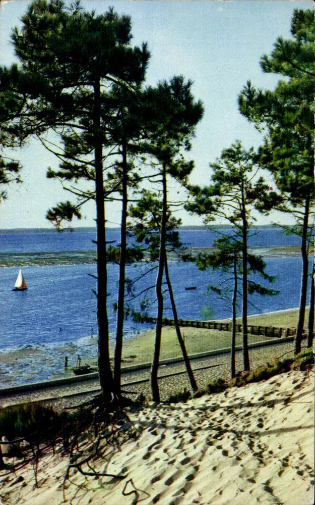Le Moulleau (Gironde) — Die Dünen, Die Kiefern, Das Meer — Combier Imp. Macon - Vorderseite
