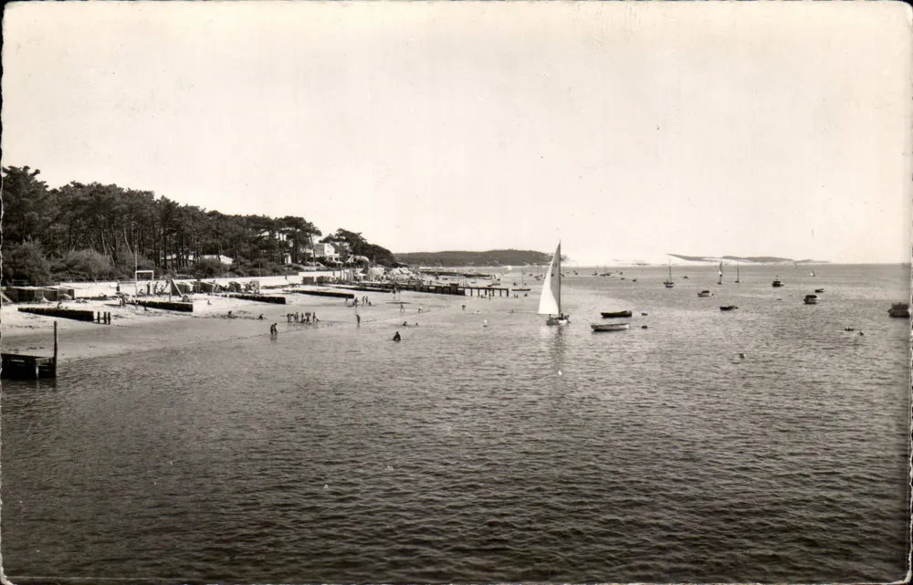 Bassin d'Arcachon — Ansicht Richtung Dünenebene Pilat — Edition Glatigny n° 9019 - Vorderseite