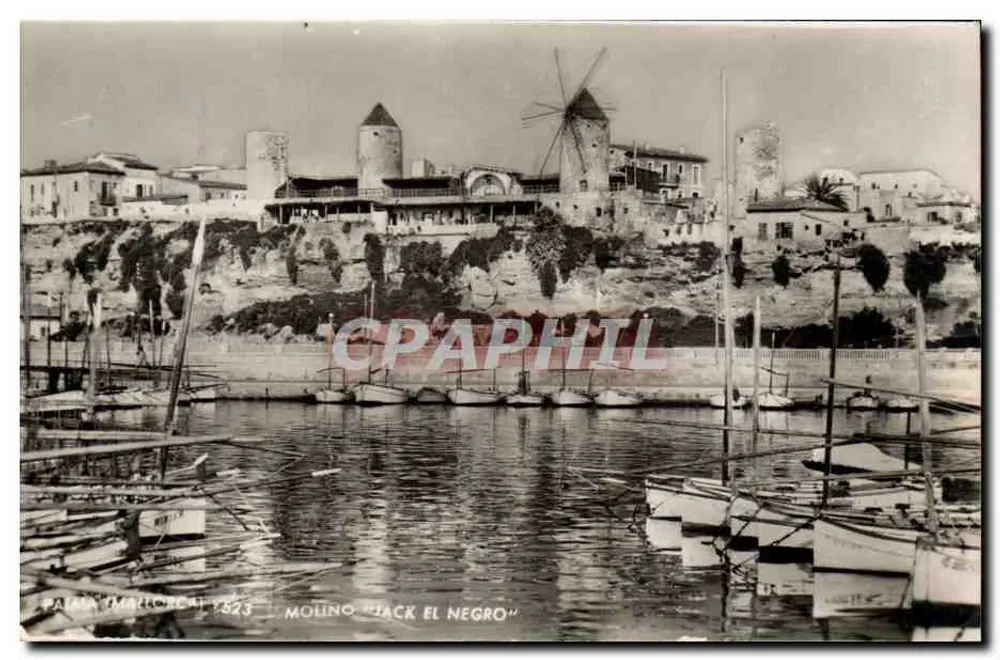 Palma (Mallorca) — Mühle 'Jack El Negro' — Verlag Zeller & Witz, Nr. 523 - Vorderseite