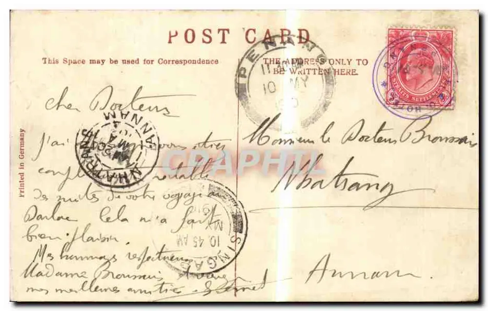 Picking Pine-Apples, Penang — carte postale ancienne - Verso