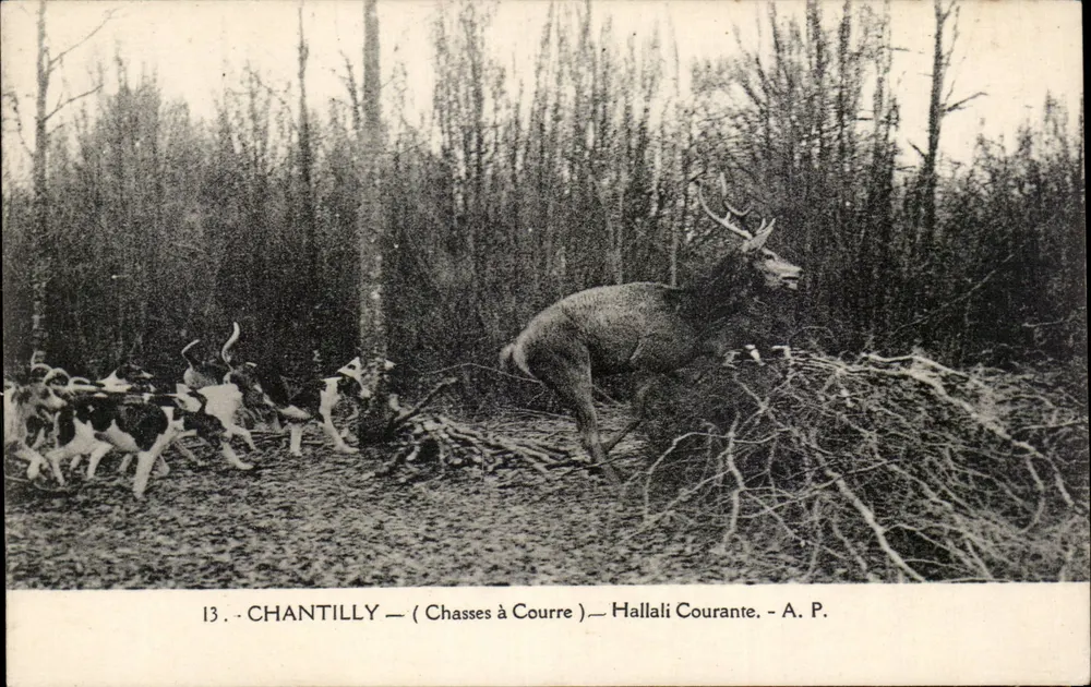 Chantilly — Jagd — Hallali Courante — A. P. - Vorderseite